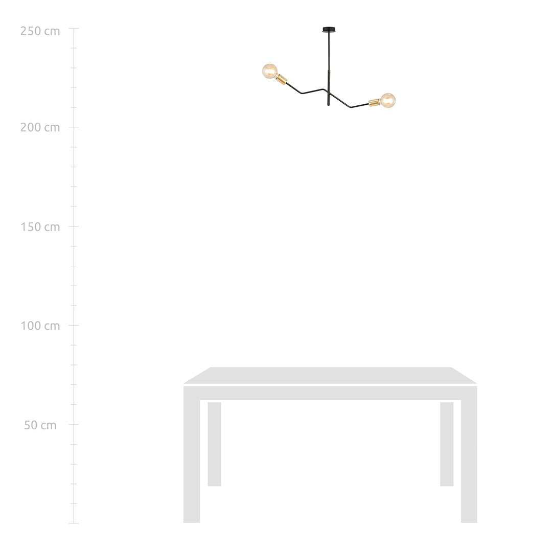 Deckenleuchte Sky 2 in Schwarz, 2-flammig