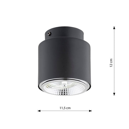 Deckenleuchte Micro 1 in Schwarz, 1-flammig