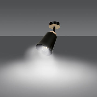 Deckenleuchte Voyage 1 in Schwarz, 1-flammig